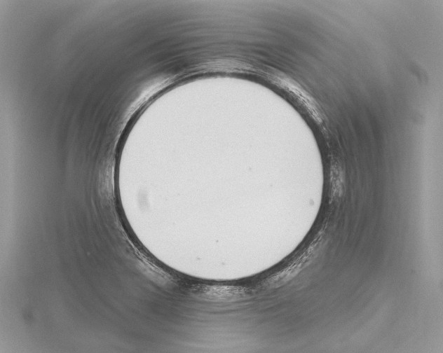 X0000115521322200912040920