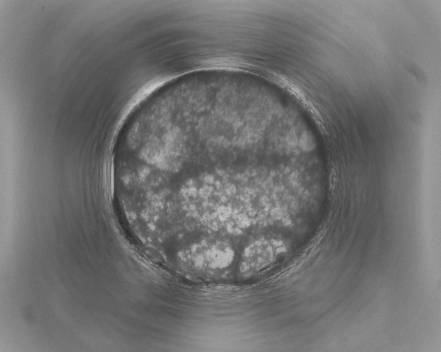 X0000115521323200912040920