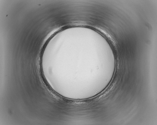 X0000115521325200912040920