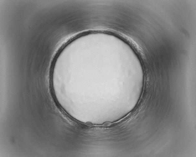 X0000115521327200912040920