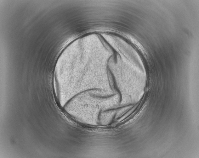 X0000115521329200912040920