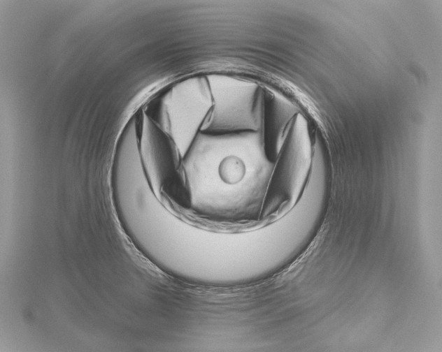 X0000115521330200912040920