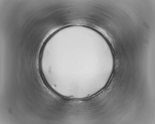 X0000115521331200912040921