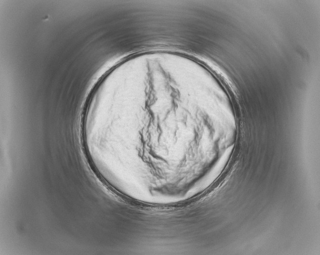 X0000115521333200912040921