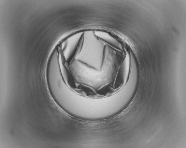 X0000115521334200912040921