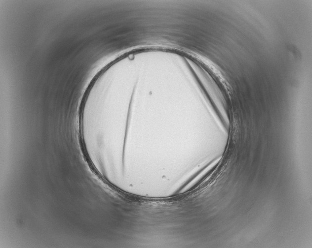 X0000115521335200912040921