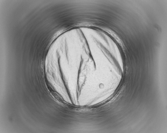 X0000115521337200912040921