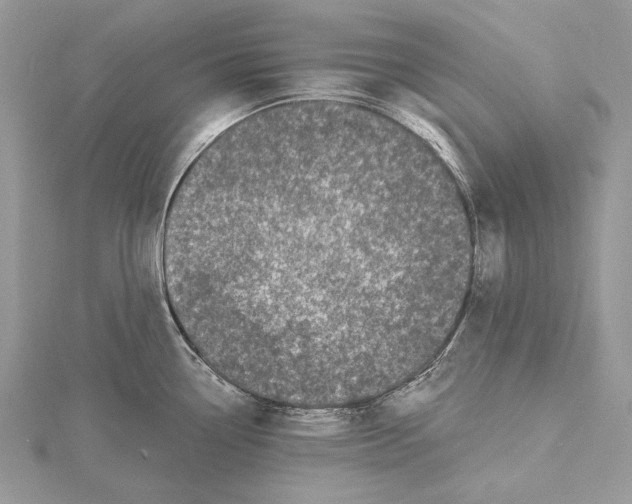 X0000115521338200912040921