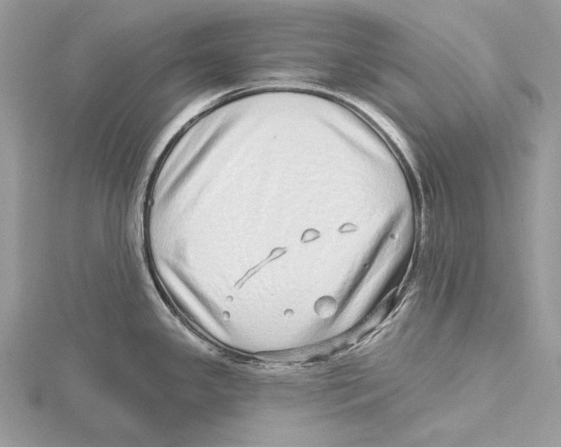 X0000115521341200912040921