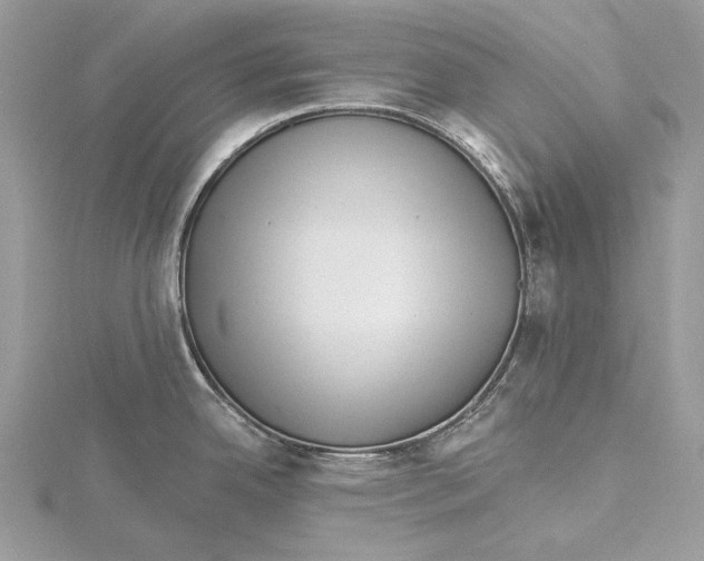 X0000115521342200912040921