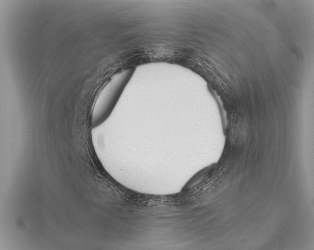 X0000115521345200912040920