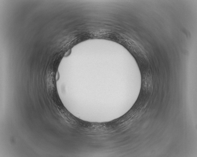 X0000115521346200912040920