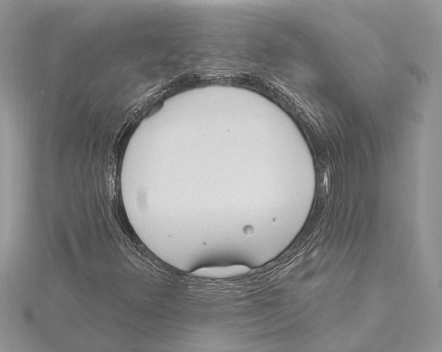 X0000115521348200912040920