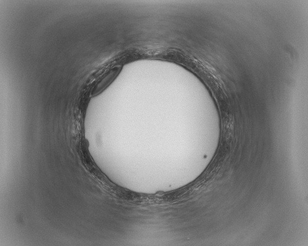 X0000115521349200912040920