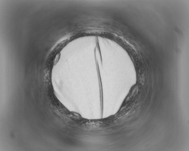 X0000115521351200912040920