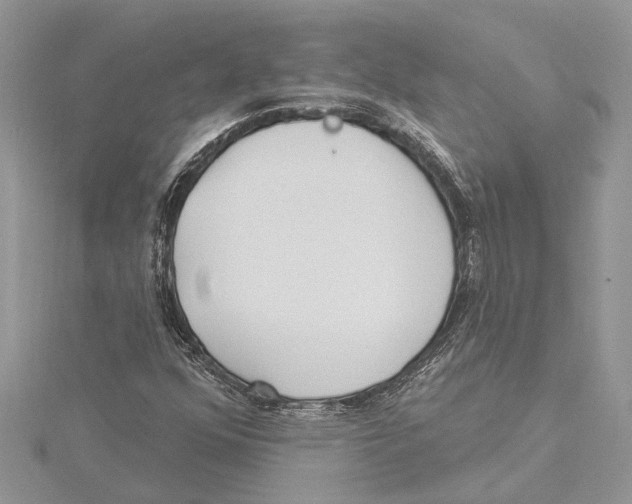 X0000115521352200912040920