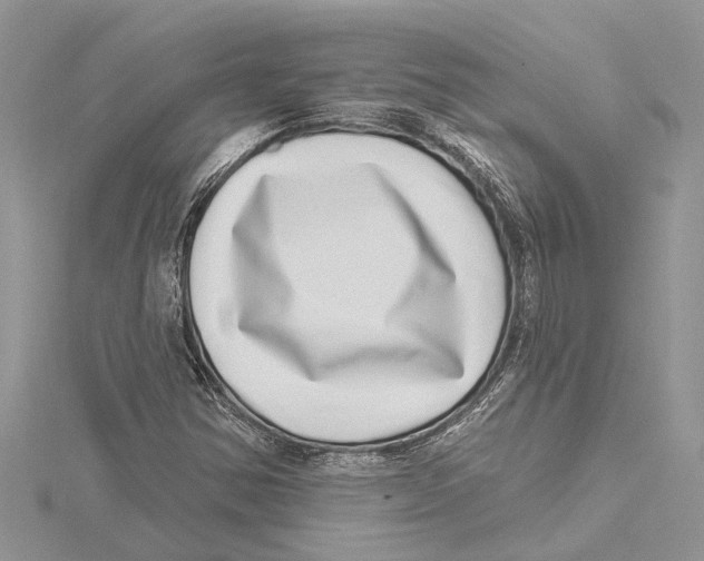 X0000115521354200912040920