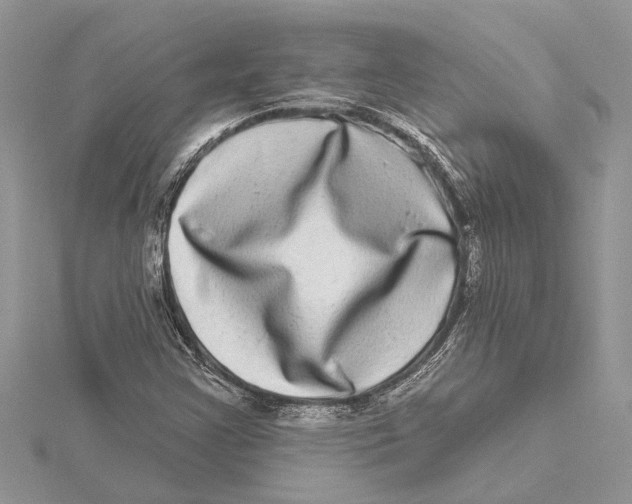 X0000115521355200912040920