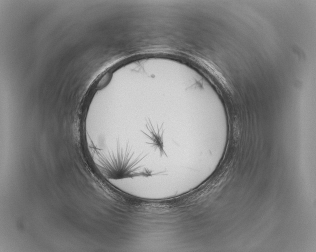 X0000115521356200912040920