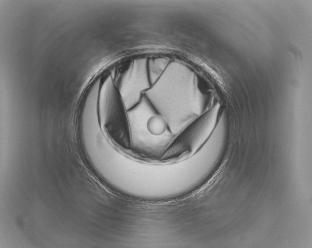 X0000115521357200912040920