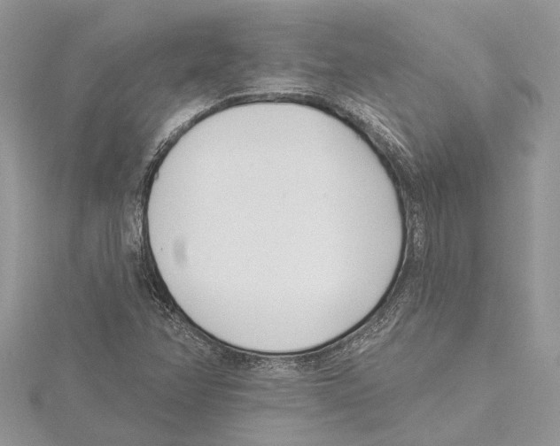 X0000115521358200912040920