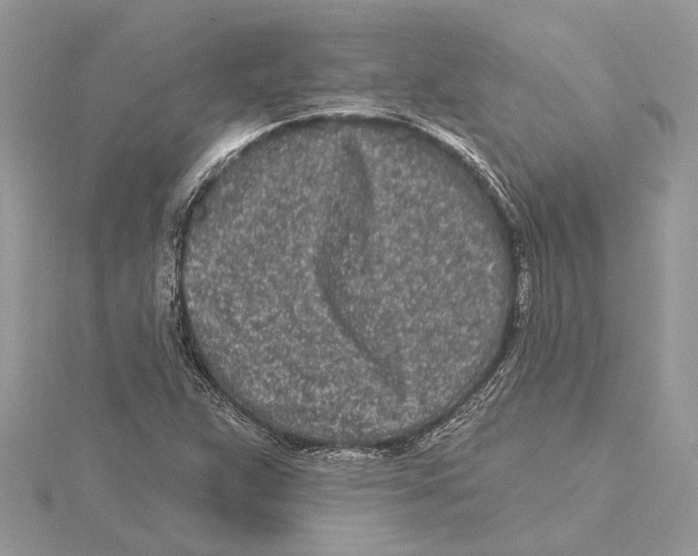 X0000115521359200912040920