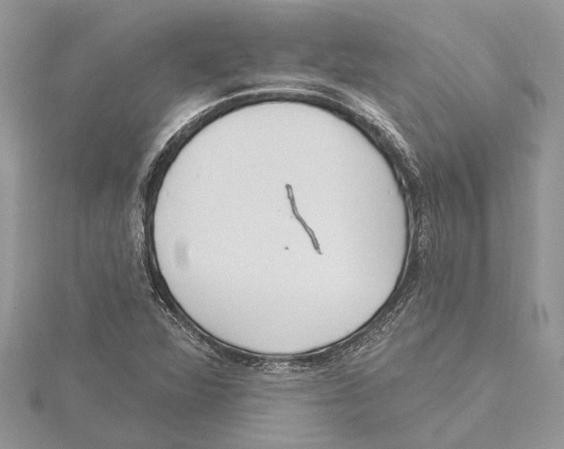 X0000115521360200912040920