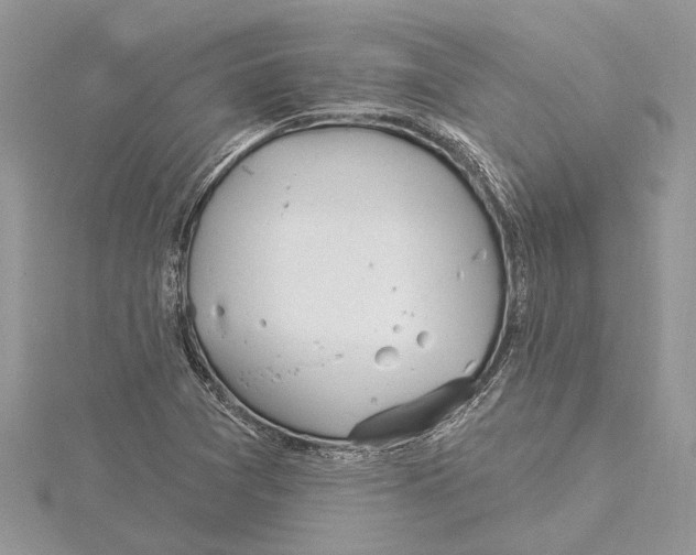 X0000115521361200912040920