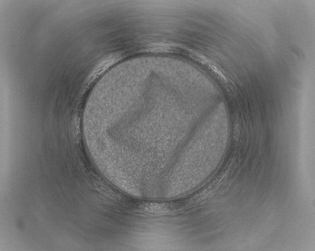 X0000115521362200912040920