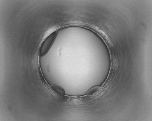 X0000115521365200912040920