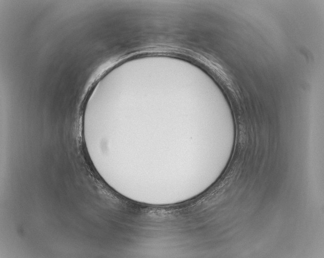 X0000115521366200912040920