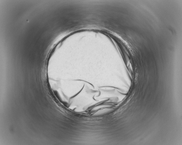 X0000115521367200912040920