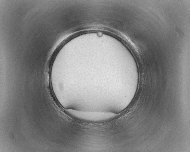 X0000115521368200912040920