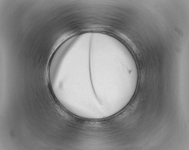 X0000115521370200912040920