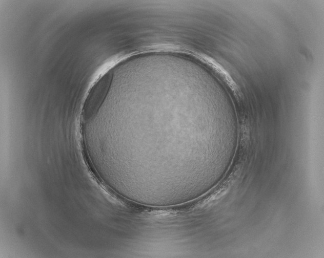 X0000115521373200912040920