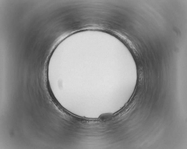 X0000115521375200912040919