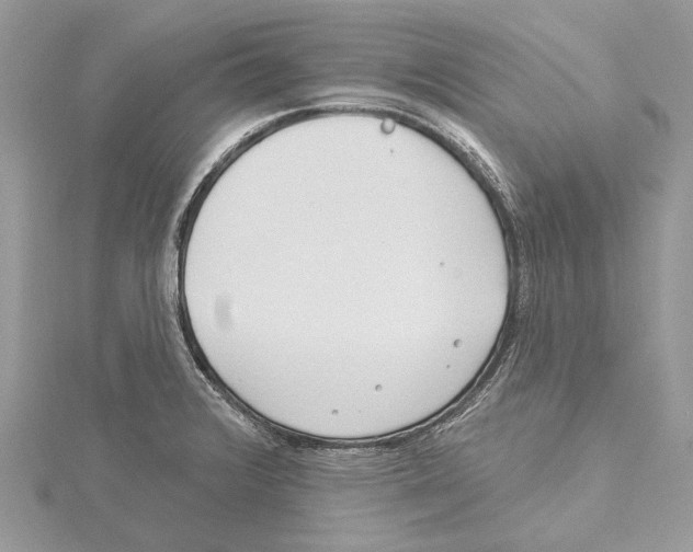 X0000115521376200912040919