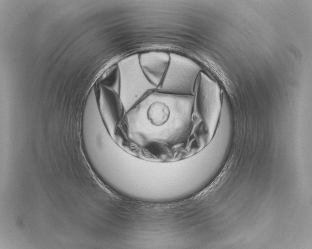 X0000115521377200912040919