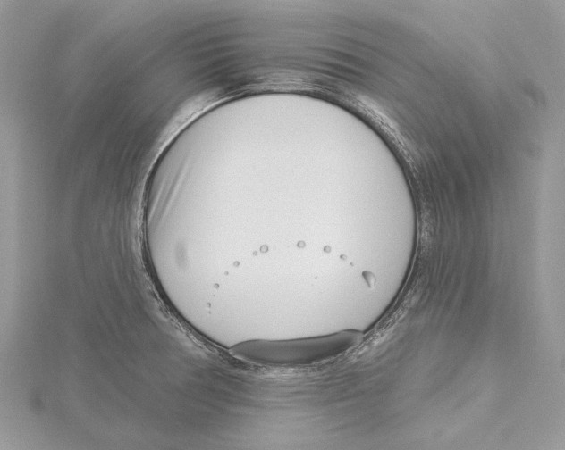 X0000115521378200912040919