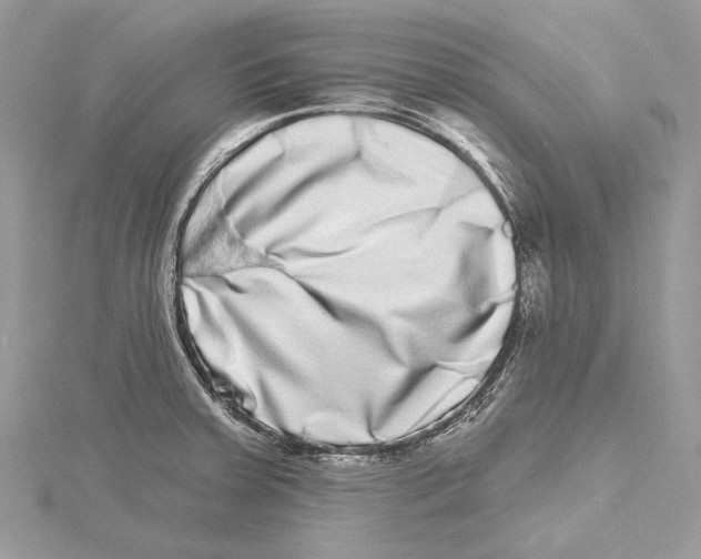 X0000115521379200912040919