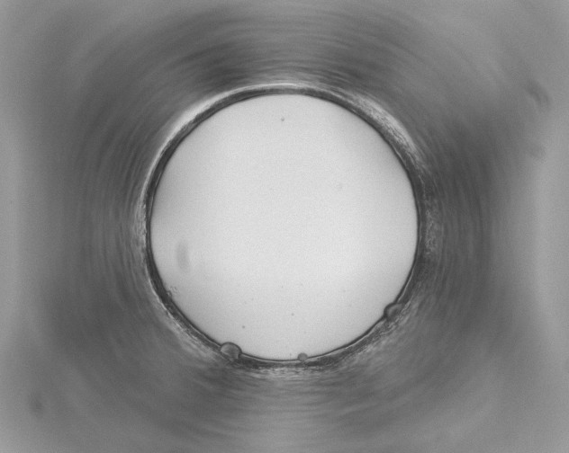 X0000115521380200912040919