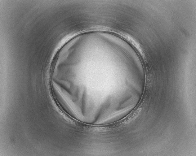 X0000115521381200912040919