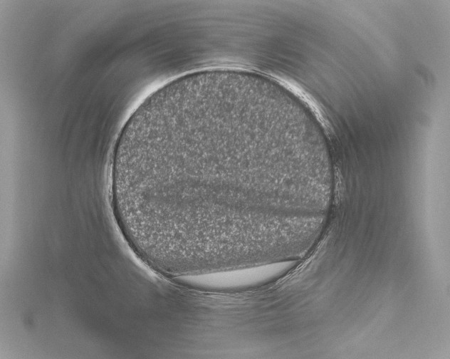 X0000115521383200912040919