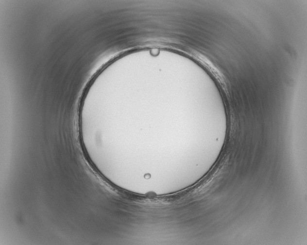 X0000115521384200912040919