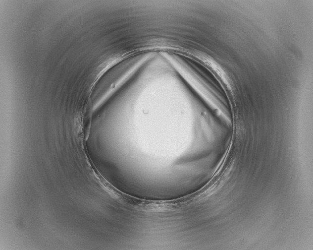 X0000115521385200912040919