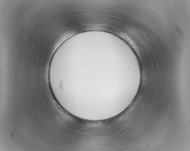 X0000115521386200912040919