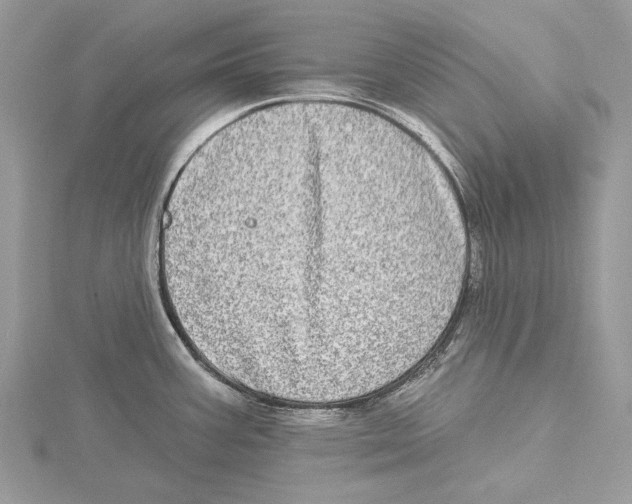 X0000115521387200912040919