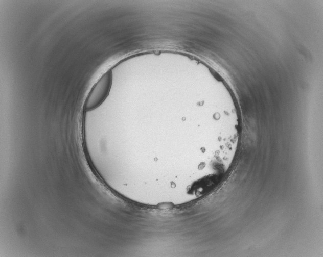 X0000115521389200912040919