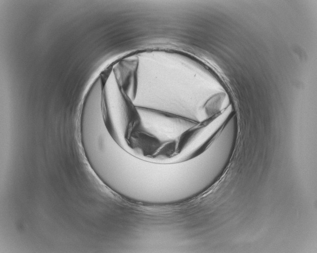 X0000115521392200912040919