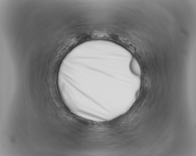 X0000115521393200912040919